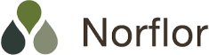 Logo Norflor