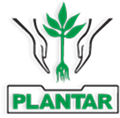 Logo Grupo Plantar