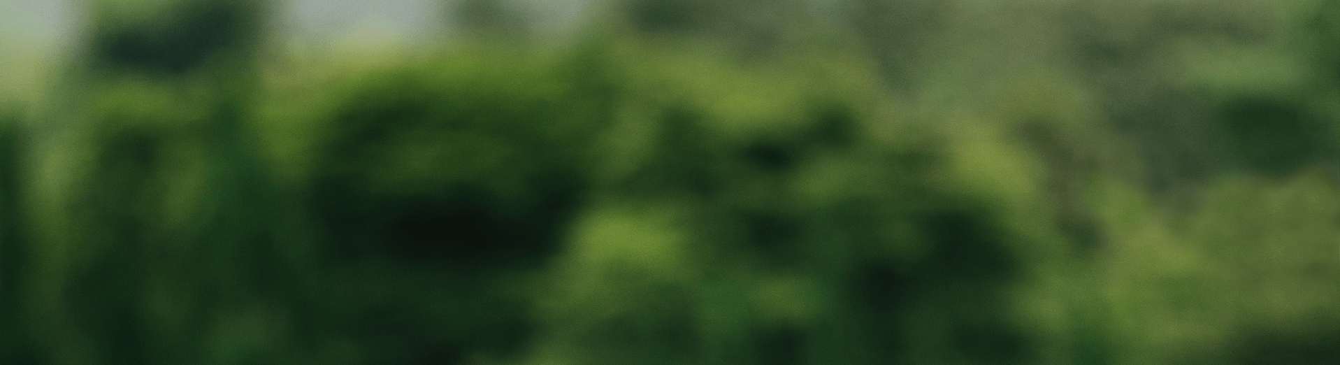 last-section-bg-desktop