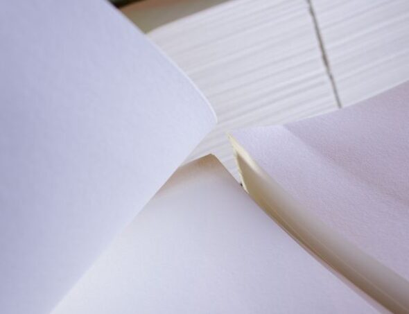 galeria-1-celulose-03