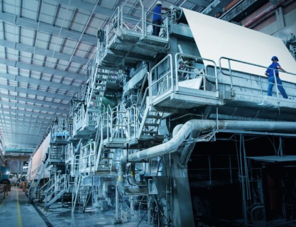 galeria-1-celulose-04