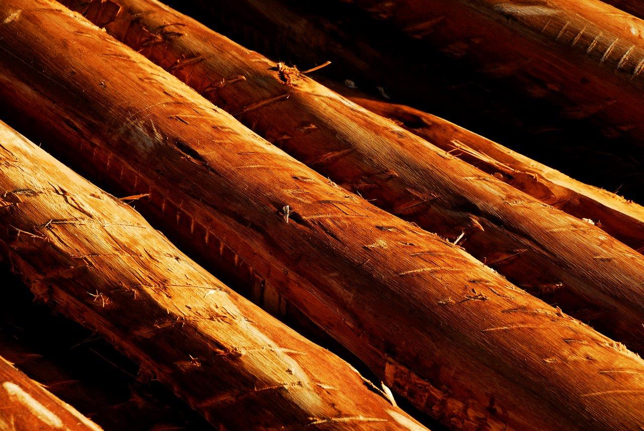 Madeira processada mecanicamente