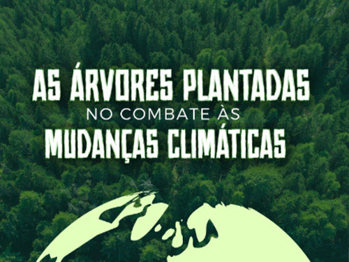 COP29 nas redes sociais