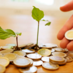 COPs de 2024: Biodiversidade, Clima e Desertificação