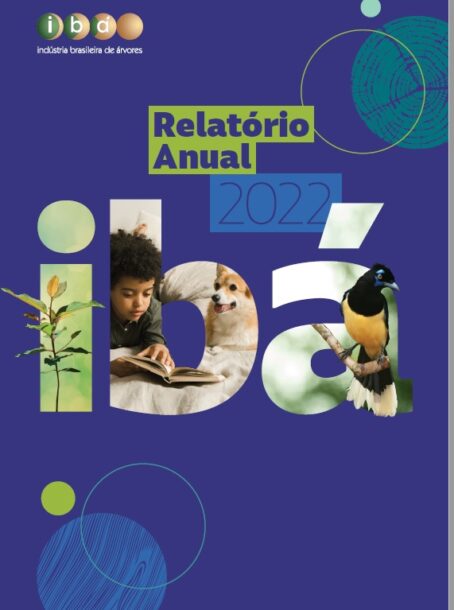 capa-relatorio-anual22