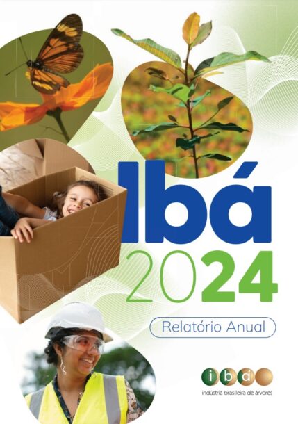 caparelatorioanual2024
