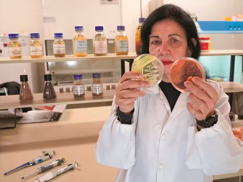 Cientista brasileira ganha ‘Nobel’ da agricultura por pesquisa em biológicos