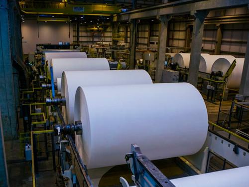 4 tendências que vão transformar o mercado de papel tissue até 2030