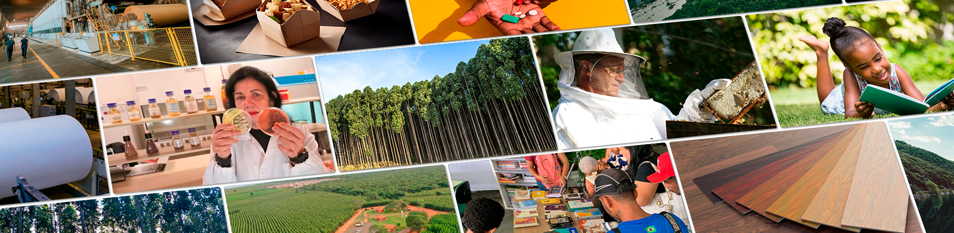 Imagem representativa de fundo