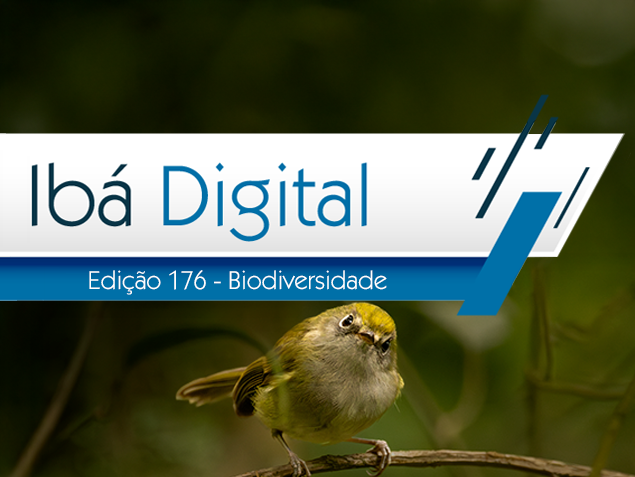 Ibá Digital – Edição 176