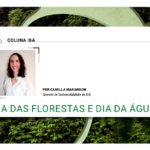 Dia das Florestas e Dia da Água