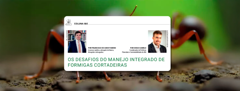 Os Desafios do Manejo Integrado de Formigas Cortadeiras