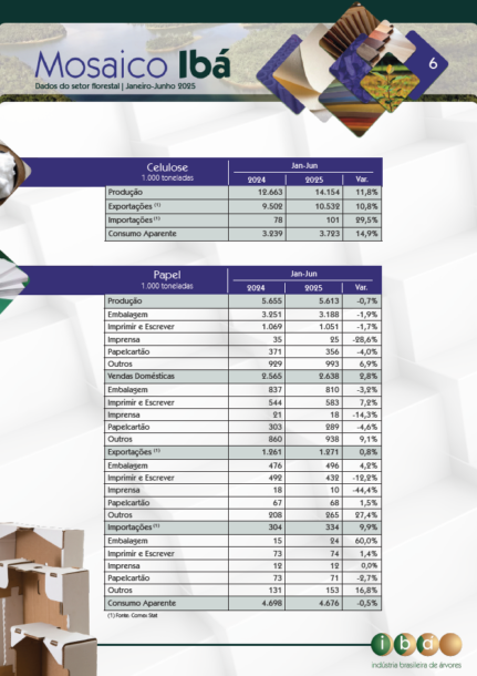 capa-mosaico6-2025-02-BR