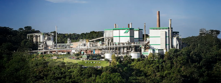 Klabin segue inovando em novos usos da madeira