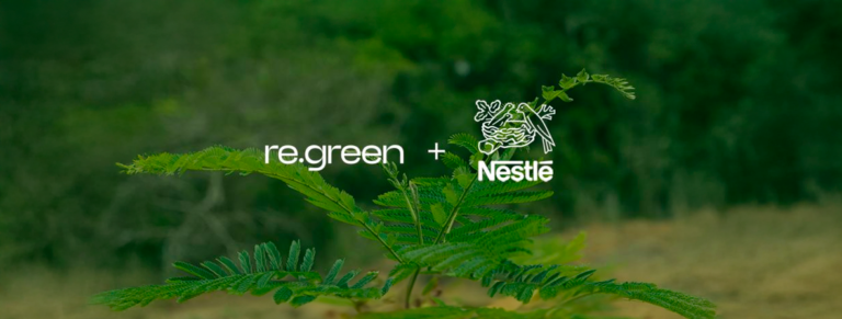 re.green | Indústrias de chocolate se unem para reflorestar 8 mil hectares