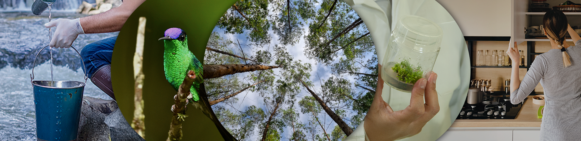 Imagem representativa de fundo